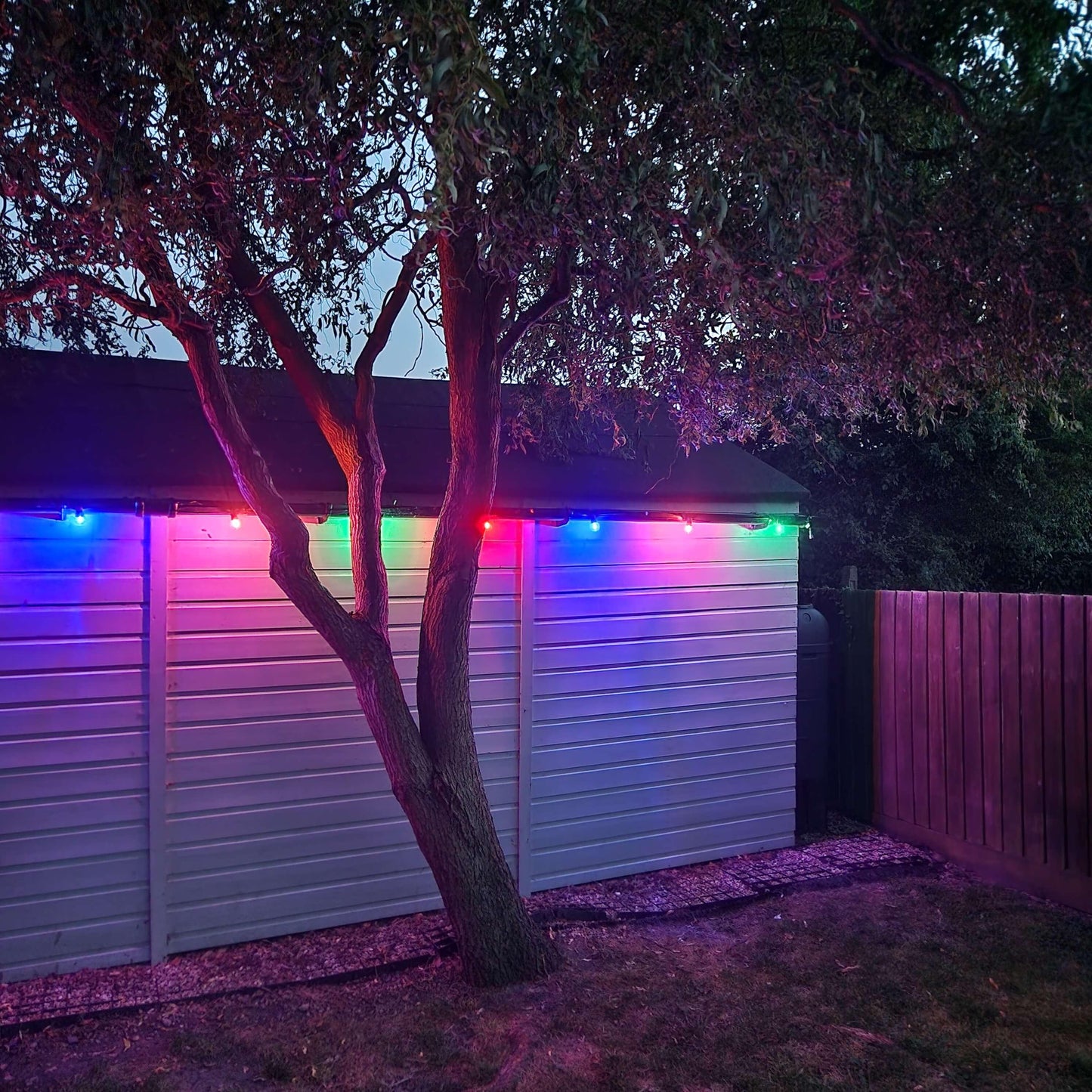 12 Pack Multi-Colour LED Super Festoon Shatterproof Replacement Bulbs