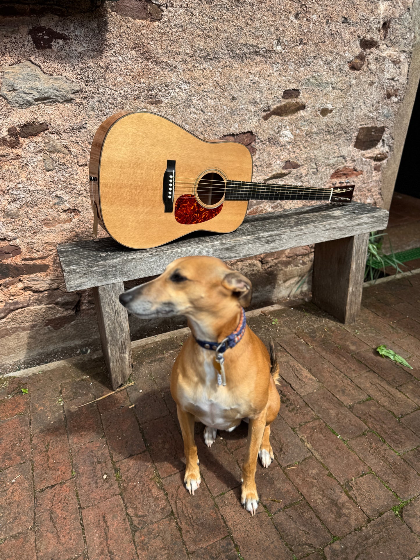 Dreadnought Guitar Hand Made by Paul Jeffrey Blacknut Guitars