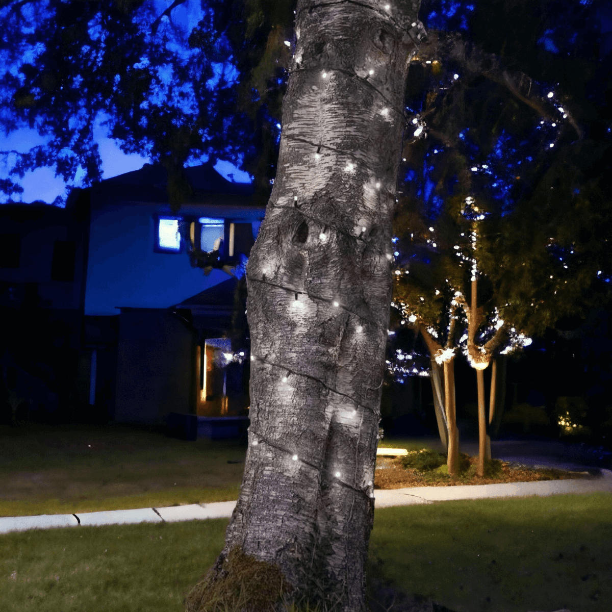 Pro Link Connectable Outdoor LED Fairy String Lights