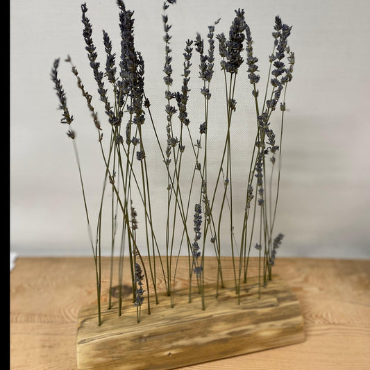 Lavender Flower Bar 30cm Reclaimed Spruce Dried Flower Wall or Table Display - MooBoo Home