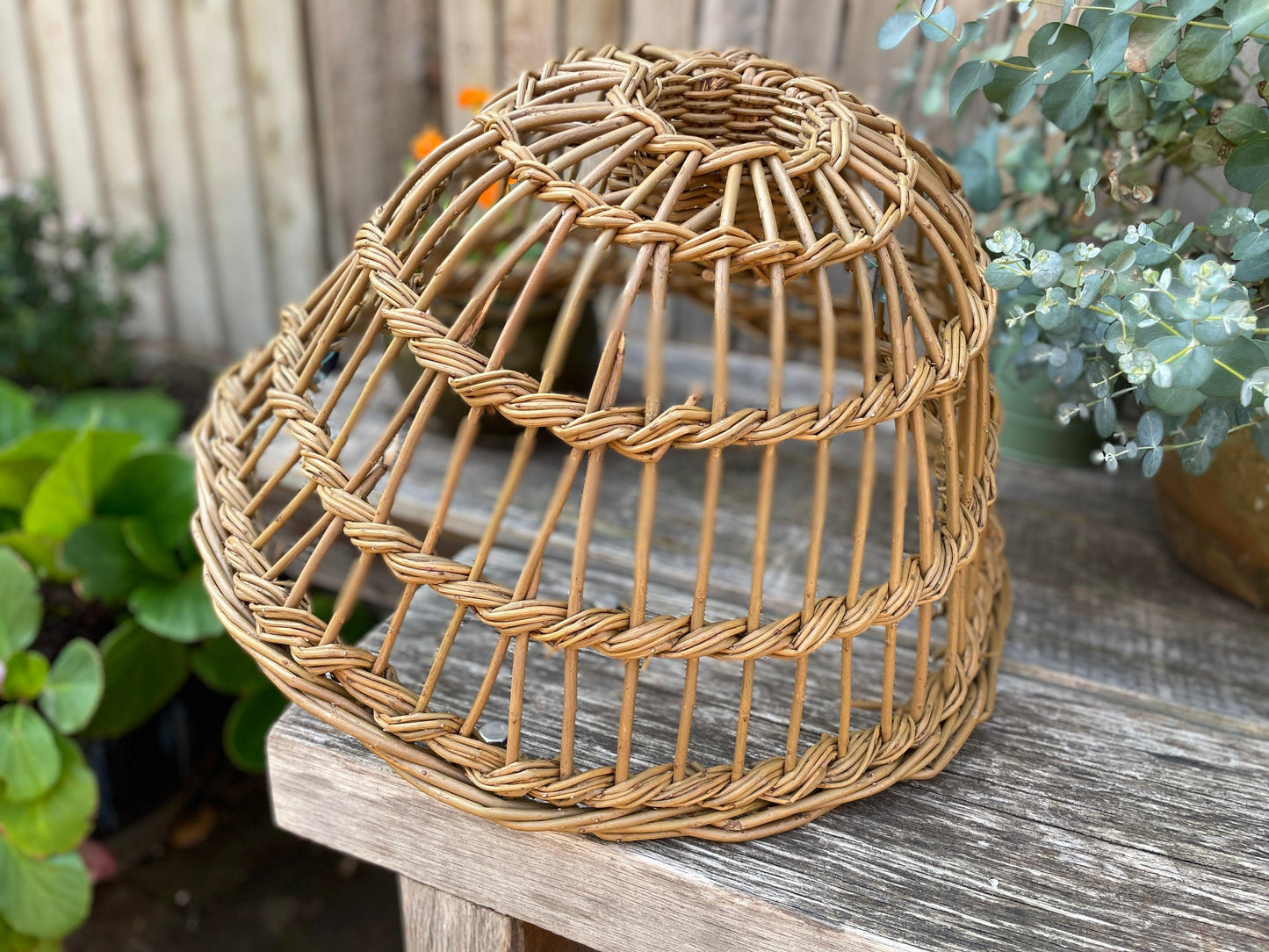 Withy Lobster Pot Pendant Shade - MooBoo Home