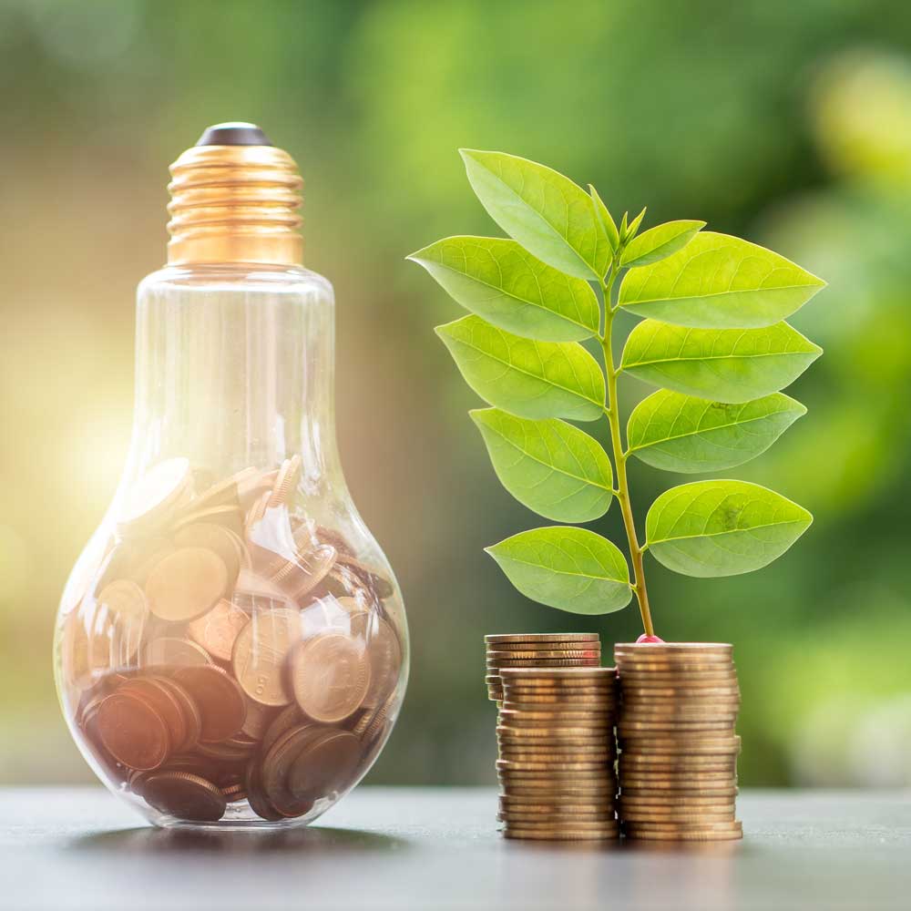 Save money on energy bills by switching to LED - MooBoo Home