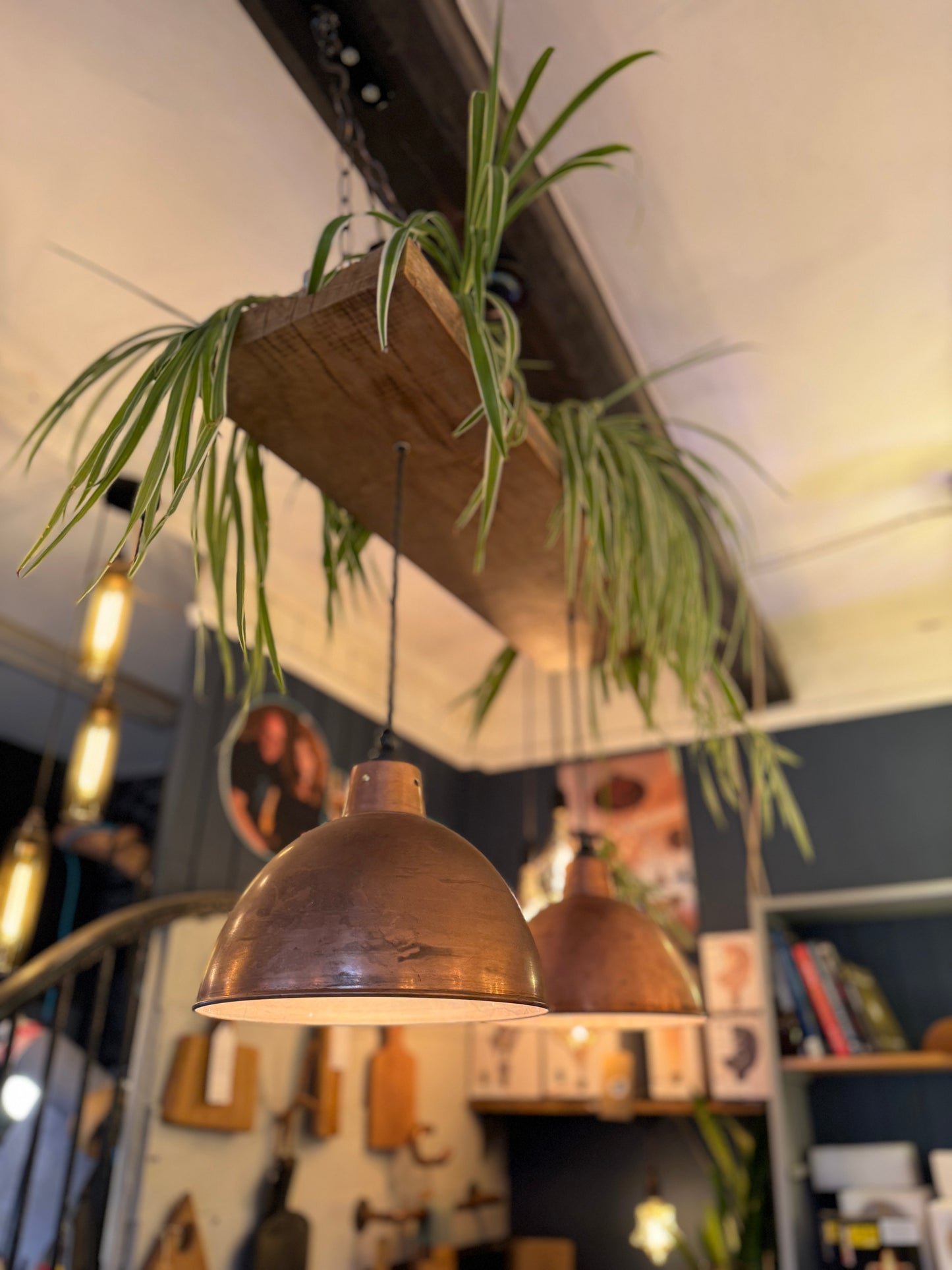 Rustic Oak Beam Kitchen Island Chandelier with Copper Shades & Plant Feature – Ready to Ship