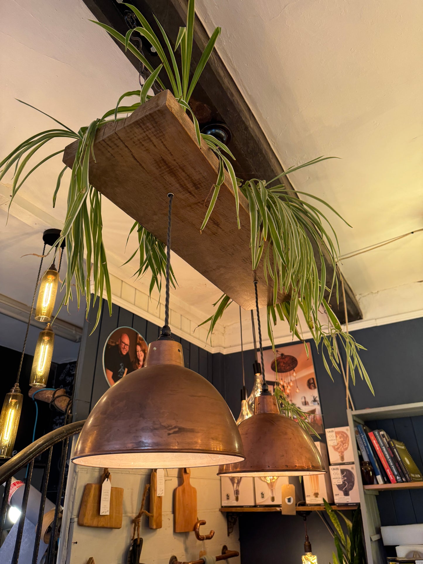 Rustic Oak Beam Kitchen Island Chandelier with Copper Shades & Plant Feature – Ready to Ship