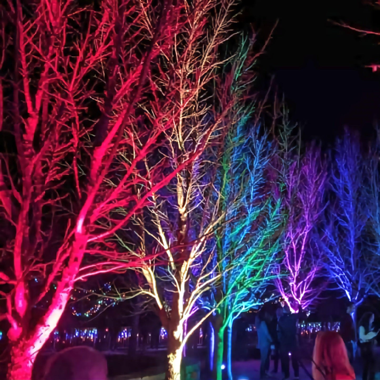 Ultimate Smart Bluetooth Floodlight LED Outdoor RGB / Warm White