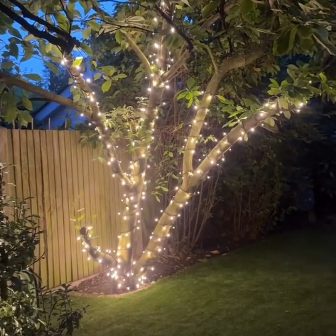 Pro Link Connectable Outdoor LED Fairy String Lights