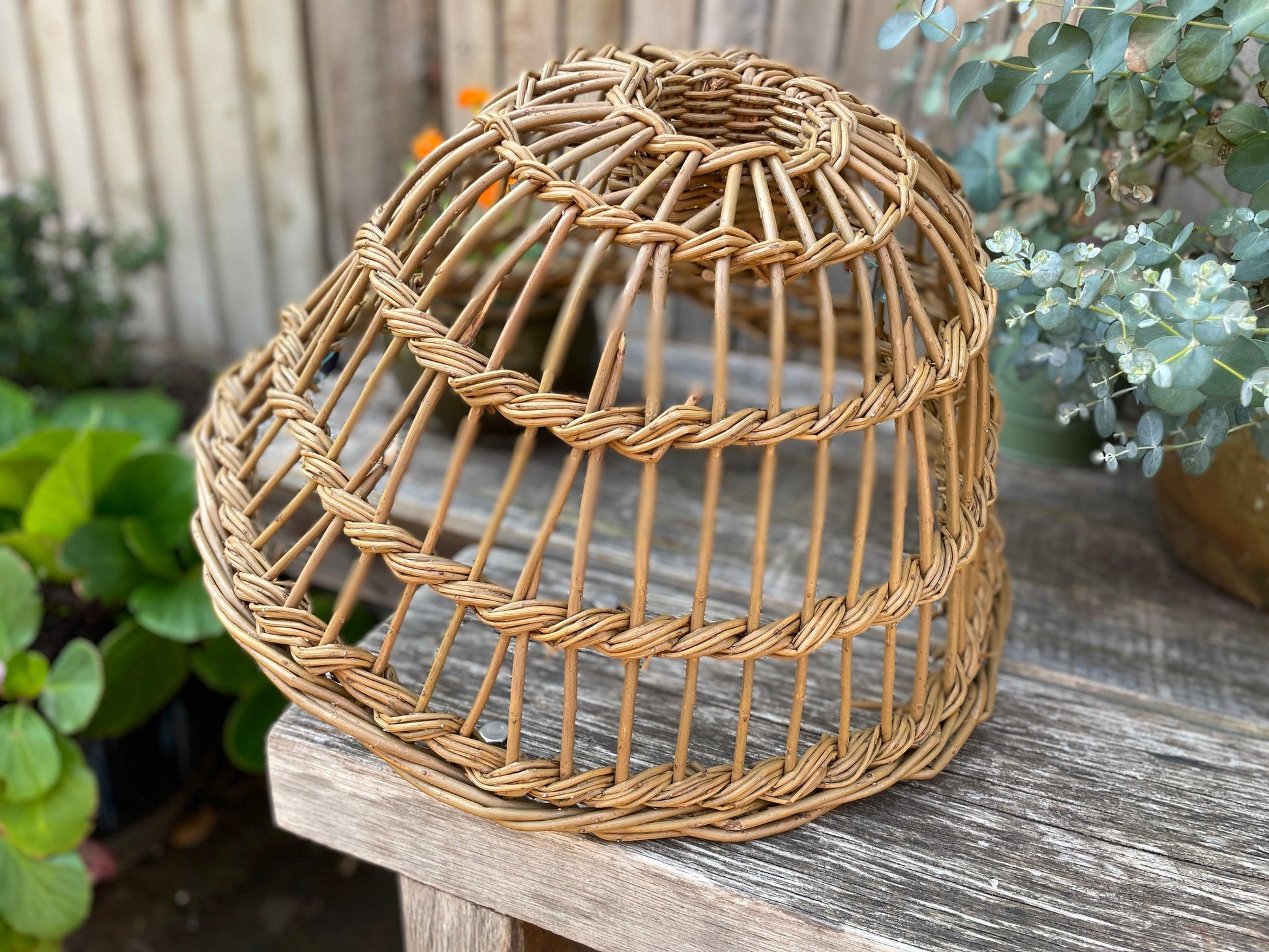 Withy Lobster Pot Pendant Shade - MooBoo Home